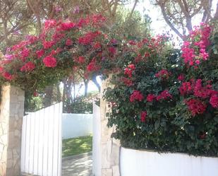 Jardí de Finca rústica de lloguer en Chiclana de la Frontera amb Piscina