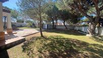 Garden of House or chalet for sale in Chiclana de la Frontera