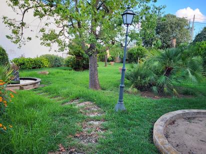 Jardín de Casa o chalet en venta en  Palma de Mallorca con Piscina