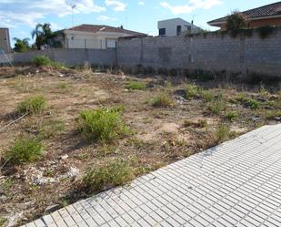 Constructible Land for sale in Algemesí