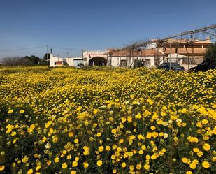 Vista exterior de Finca rústica en venda en Cartagena