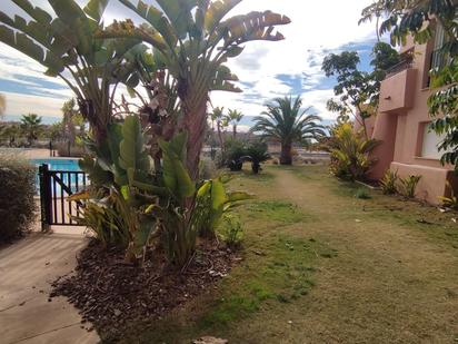 Jardí de Pis en venda en Torre-Pacheco amb Terrassa