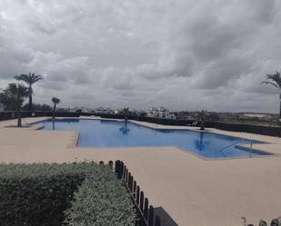 Piscina de Pis de lloguer en  Murcia Capital amb Aire condicionat i Terrassa