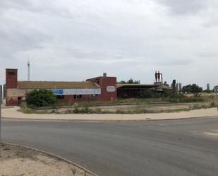 Exterior view of Industrial land for sale in Sollana