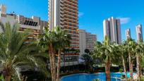 Swimming pool of Attic for sale in Benidorm  with Terrace and Swimming Pool