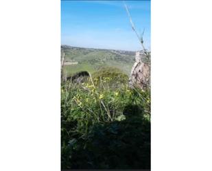 Constructible Land for sale in Vejer de la Frontera