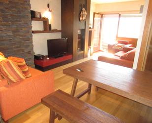 Sala d'estar de Apartament en venda en Aisa amb Terrassa i Balcó