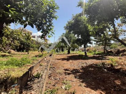 Terreny en venda a Ingenio pueblo