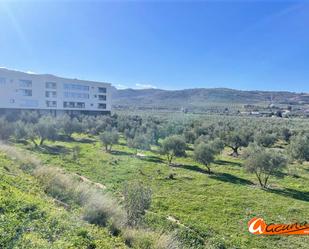 Constructible Land for sale in Antequera