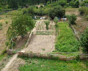 Garden of Constructible Land for sale in Cihuri