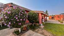 Jardí de Casa o xalet en venda en  Zaragoza Capital amb Aire condicionat, Terrassa i Piscina