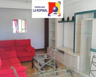 Living room of Flat to rent in Salamanca Capital  with Parquet flooring, Terrace and Furnished