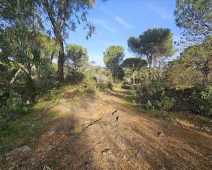 Constructible Land for sale in Obejo