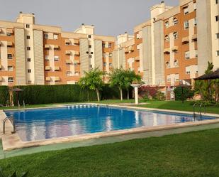 Swimming pool of Flat for sale in Alicante / Alacant  with Air Conditioner, Terrace and Swimming Pool