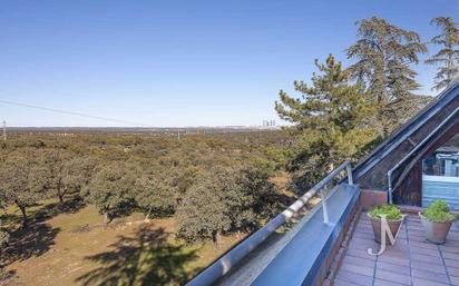 Terrassa de Casa o xalet en venda en  Madrid Capital amb Aire condicionat, Calefacció i Jardí privat