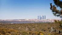 Vista exterior de Casa o xalet en venda en  Madrid Capital amb Aire condicionat, Calefacció i Jardí privat