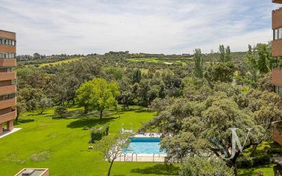 Garden of Flat for sale in  Madrid Capital  with Terrace and Balcony