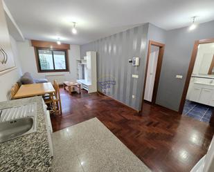 Sala d'estar de Apartament de lloguer en Vigo  amb Calefacció, Parquet i Traster