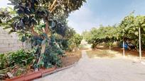 Garden of Country house for sale in Valsequillo de Gran Canaria  with Terrace