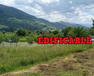 Constructible Land for sale in Candamo