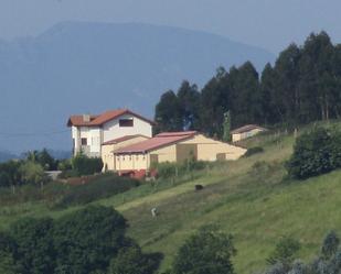 Vista exterior de Casa o xalet en venda en Candamo amb Calefacció, Jardí privat i Parquet