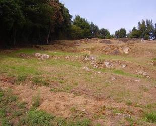 Constructible Land for sale in Candamo