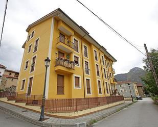 Exterior view of Flat for sale in Cabrales