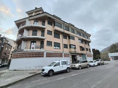 Exterior view of Flat for sale in Piloña