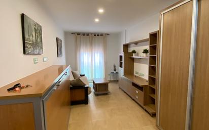 Living room of Study to rent in  Murcia Capital  with Air Conditioner