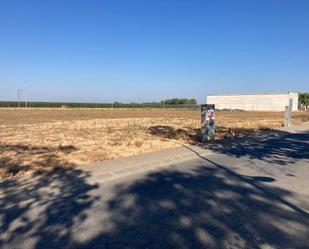 Industrial land for sale in El Palau d'Anglesola