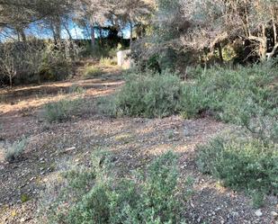 Constructible Land for sale in Almoster