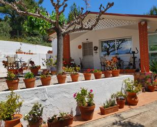 Jardí de Casa o xalet en venda en Tortosa amb Aire condicionat, Terrassa i Piscina