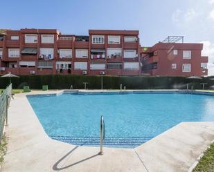 Swimming pool of Apartment to rent in Algeciras  with Terrace, Furnished and Washing machine