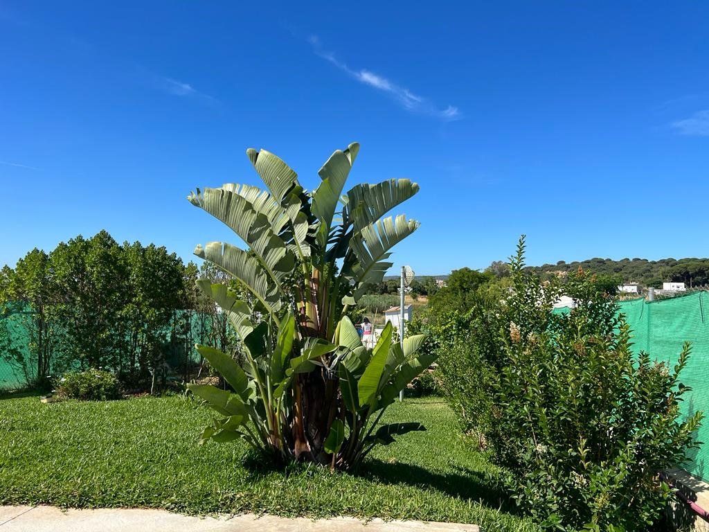 Lands for sale at La Muela, Vejer de la Frontera | fotocasa